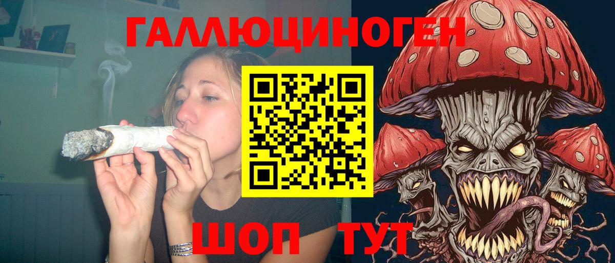 Псилоцибиновые грибы Cubensis Богородск