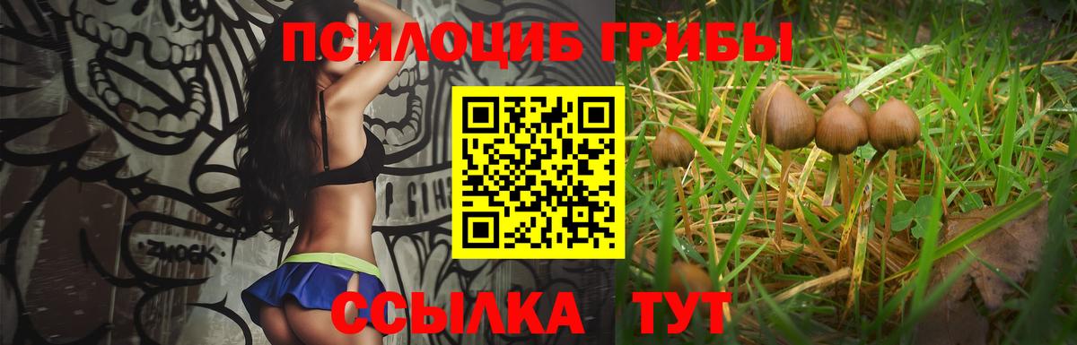 Псилоцибиновые грибы мицелий  Вход с VPN  Богородск 